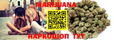 винт Тара