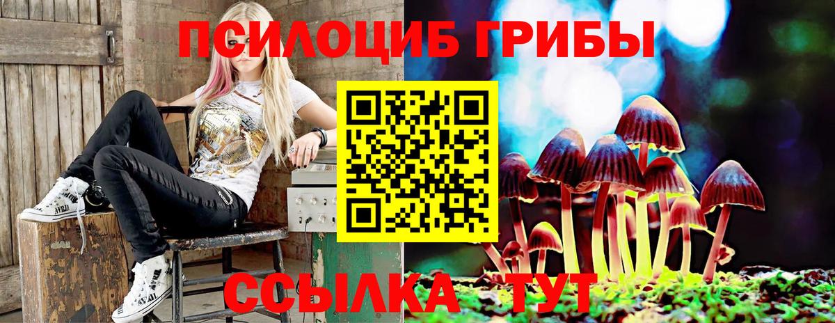 Псилоцибиновые грибы Magic Shrooms Норильск