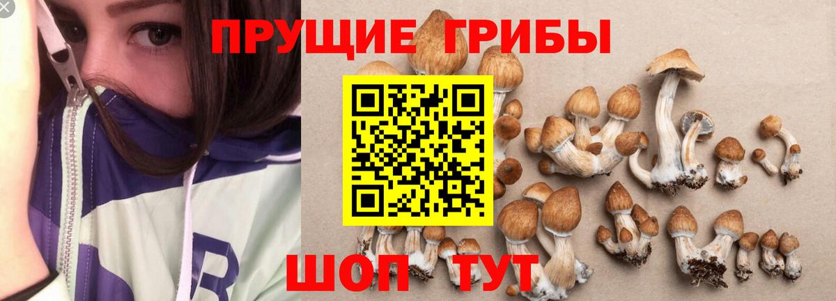 Галлюциногенные грибы мухоморы  Вход с VPN  Норильск  купить   Галлюциногенные грибы MAGIC MUSHROOMS 